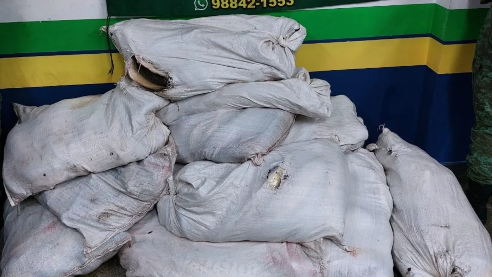 Polícia apreende 500 kg de pescado ilegal na Feira da Panair em Manaus