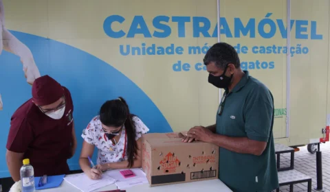 Calendário de castração de cães e gatos em Manaus é divulgado; confira