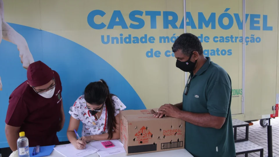 Calendário de castração de cães e gatos em Manaus é divulgado; confira