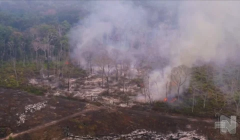 VÍDEO: desmatamento na Amazônia bate recorde entre janeiro a dezembro de 2022