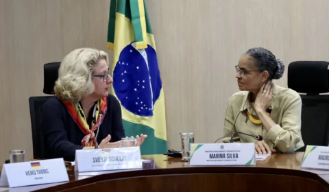 Alemanha vai investir 203 milhões de euros em ações ambientais no Brasil