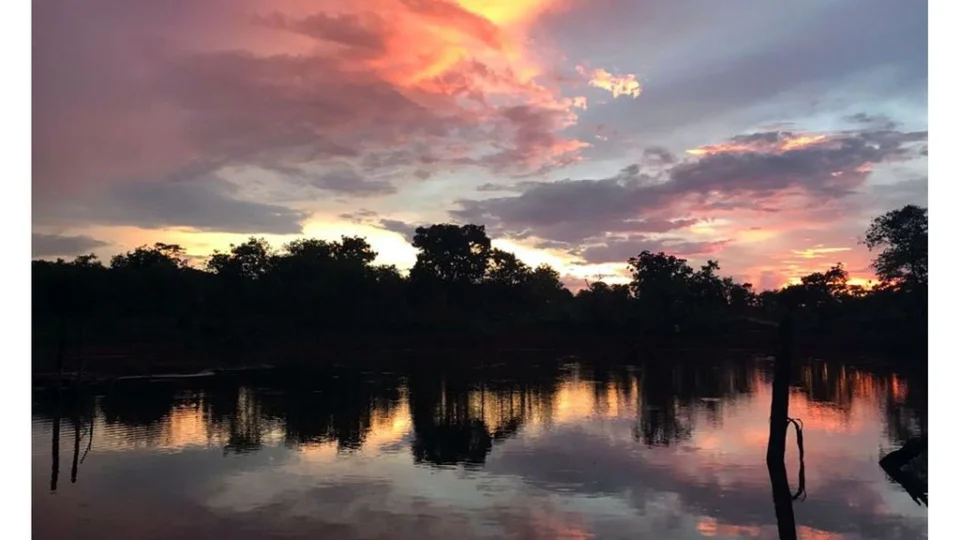 Desmatamento no Cerrado registra alta de 20% em 2022, aponta Ipam