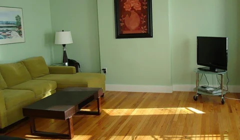 Sustentabilidade e decoração: confira como investir nessa ideia em sua casa