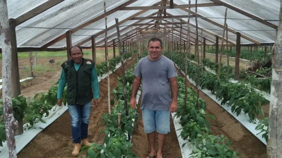 Produtores rurais recebem treinamento técnico no Careiro Castanho, no AM