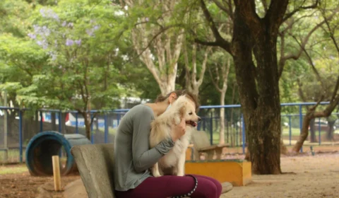 Saiba que procedimento legal adotar quando seu pet morrer