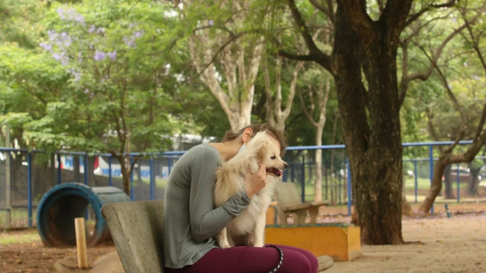 Saiba que procedimento legal adotar quando seu pet morrer