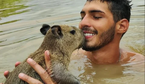 Capivara Filó: consultor jurídico analisa desdobramentos do caso no Amazonas