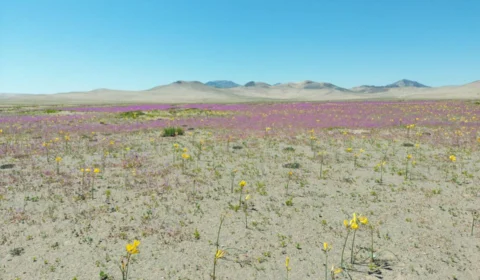 Chile: confira quatro lugares para se divertir no país vizinho