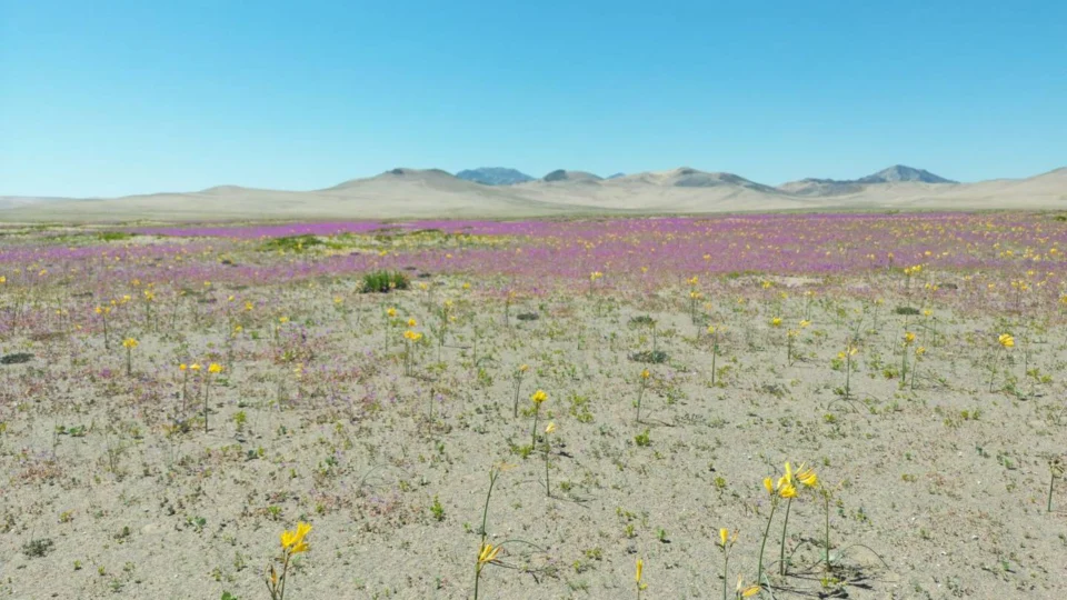 Chile: confira quatro lugares para se divertir no país vizinho