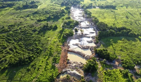 Governo do Pará declara emergência ambiental em 15 município por 180 dias