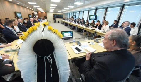 Fundo Amazônia: Amazonas leva demandas do estado para reunião do Comitê