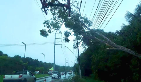 Falta de energia: confira o que fazer se temporais prejudicam abastecimento