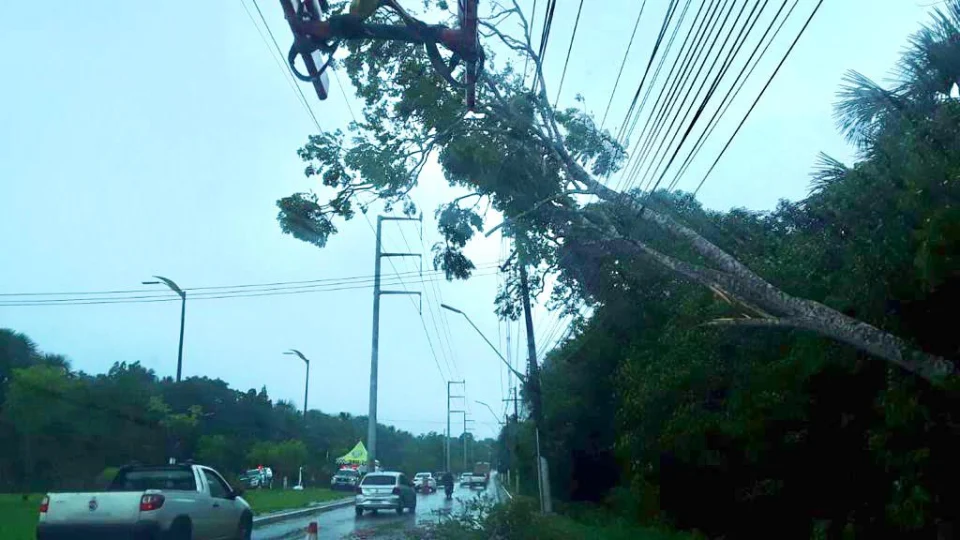 Falta de energia: confira o que fazer se temporais prejudicam abastecimento