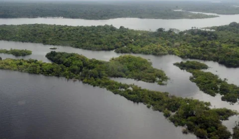 Ibama reavaliará licença para Petrobras na Foz do Amazonas, diz Marina