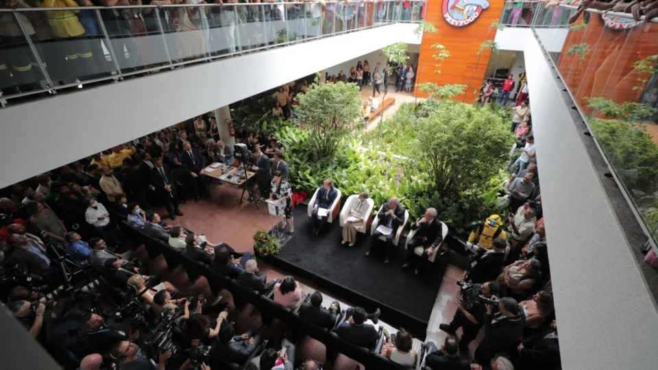 Ações no combate a incêndios florestais no AM são apresentadas em Brasília