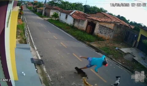 VÍDEO: homem é atropelado por cães em Parintins, no interior do Amazonas