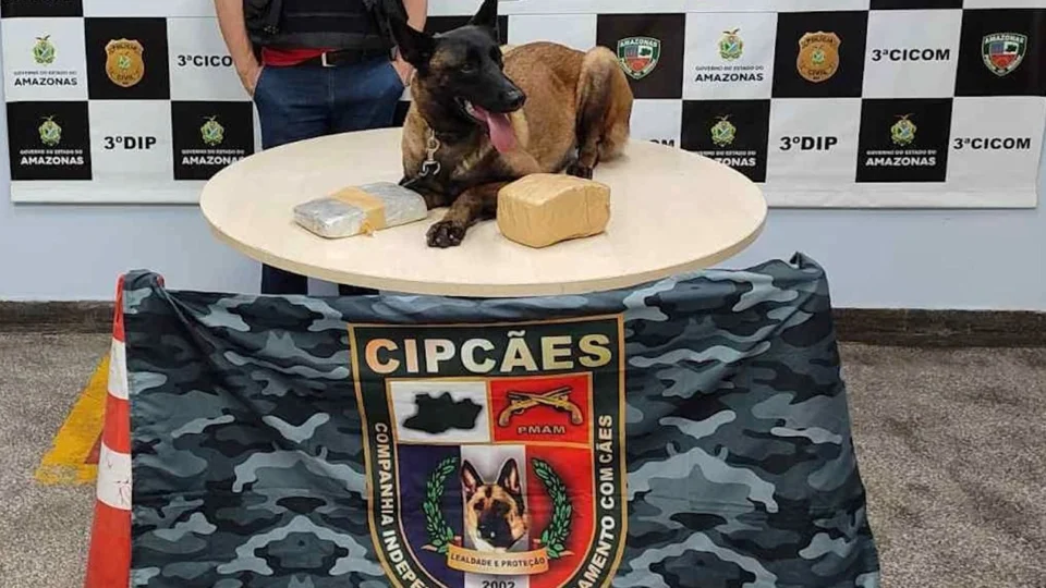 VÍDEO: mulher é presa com pasta base de cocaína e maconha no porto de Manaus