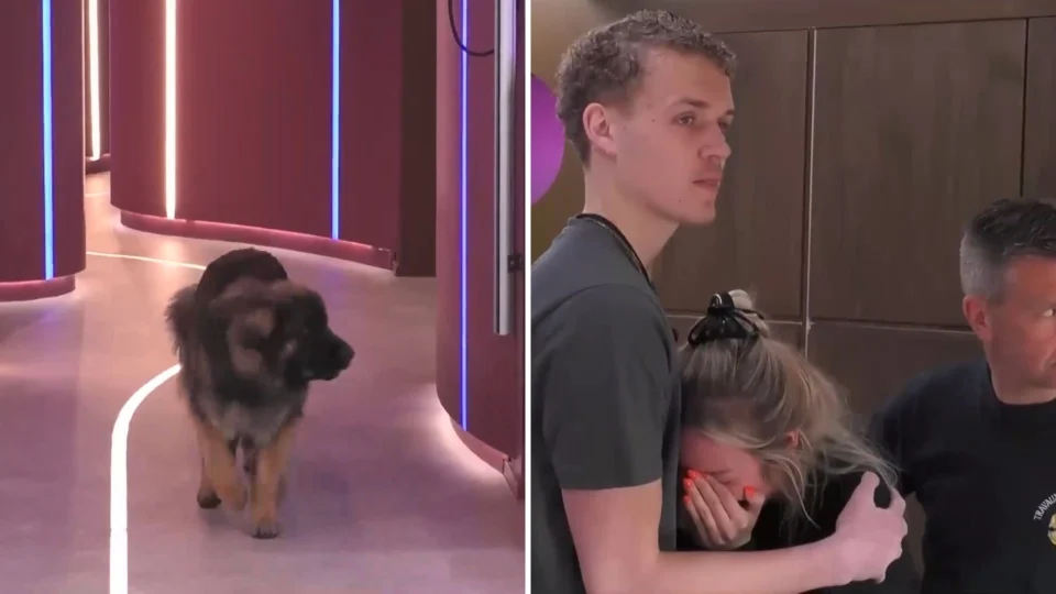 Por regra do jogo, participante de reality chora ao não interagir em visita de pet de estimação