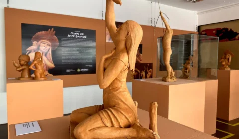 Artistas de Parintins-AM expõem desenhos e esculturas nas galerias da cidade