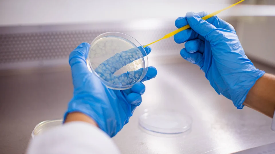 Comissão aprova PLP que impede corte de despesas com bolsas de pesquisa