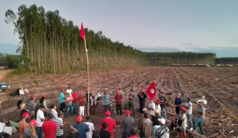 CPI do MST: Gleisi Hoffmann e integrantes movimento são indicados do PT