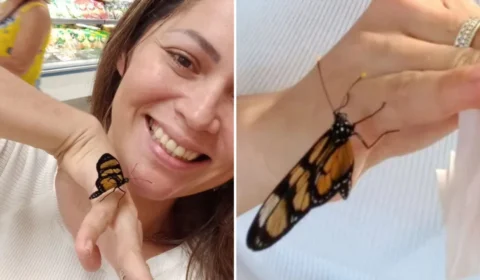 Mulher é ‘adotada’ por borboleta que passeia com ela em Florianópolis