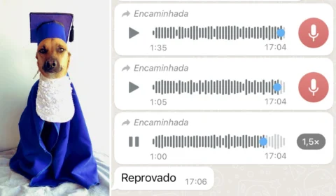 Cachorro reprovado em creche do MS viraliza na web após desabafo de tutora