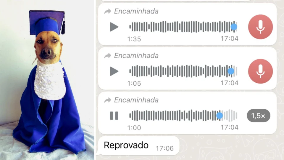 Cachorro reprovado em creche do MS viraliza na web após desabafo de tutora