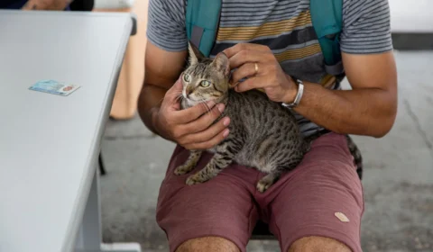 Saúde registra 30 casos de esporotricose humana em 2023 no Amazonas