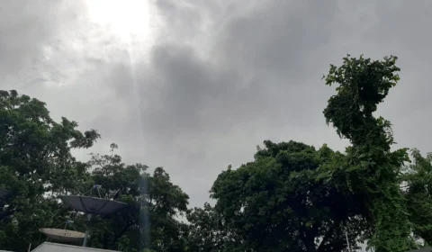 Previsão do tempo: Manaus tem 44% de chuva nesta quinta (1º)