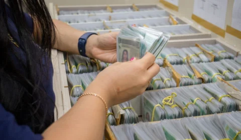 Saiba como mudar carteira de motorista estrangeira por CNH do Brasil, no AM