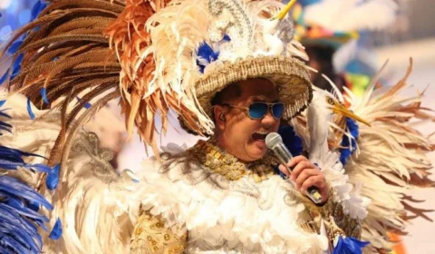 Participação da David Assayag no Festival de Parintins é defendida na Aleam