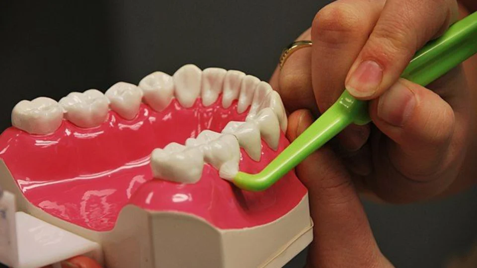 Dia Mundial da Saúde Bucal foca em cuidados básicos e medidas informativas