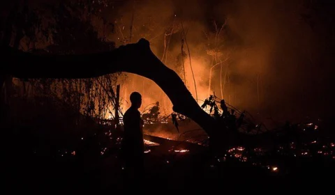 Ministra declara estado de emergência em regiões do AM por risco de incêndio
