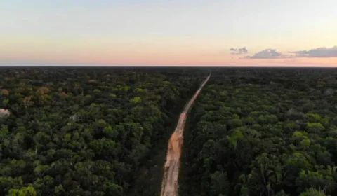 Funai proíbe acesso à área indígena Jacareúba-Katawixi no Amazonas