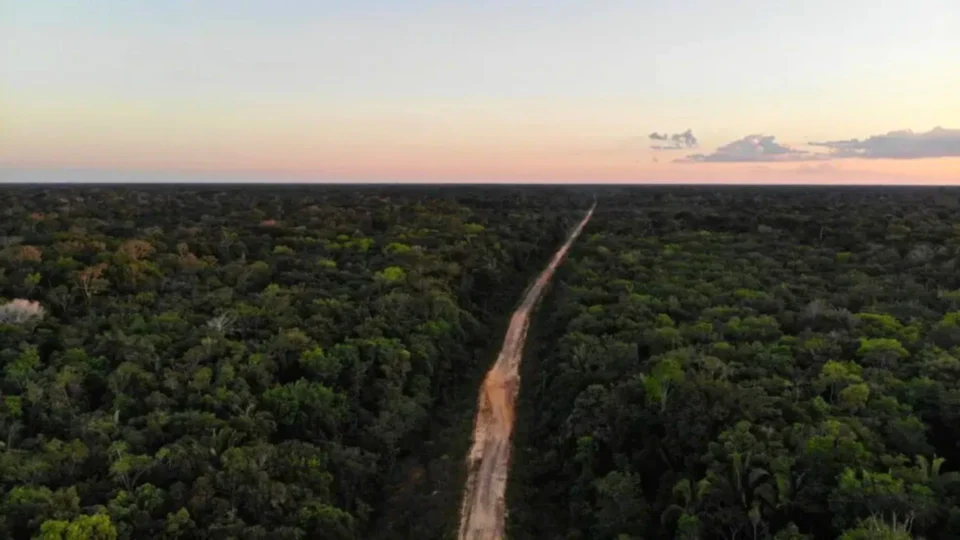 Funai proíbe acesso à área indígena Jacareúba-Katawixi no Amazonas