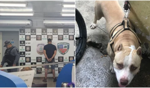 VÍDEO: homem mata cachorro da raça pitbull esfaqueado na Zona Leste de Manaus
