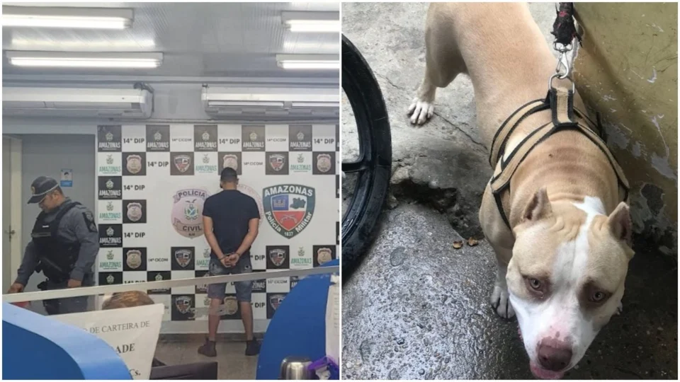 VÍDEO: homem mata cachorro da raça pitbull esfaqueado na Zona Leste de Manaus