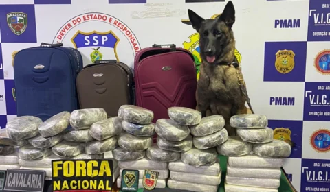 Mais de 50 kg de cocaína são apreendidos em Coari, no interior do Amazonas
