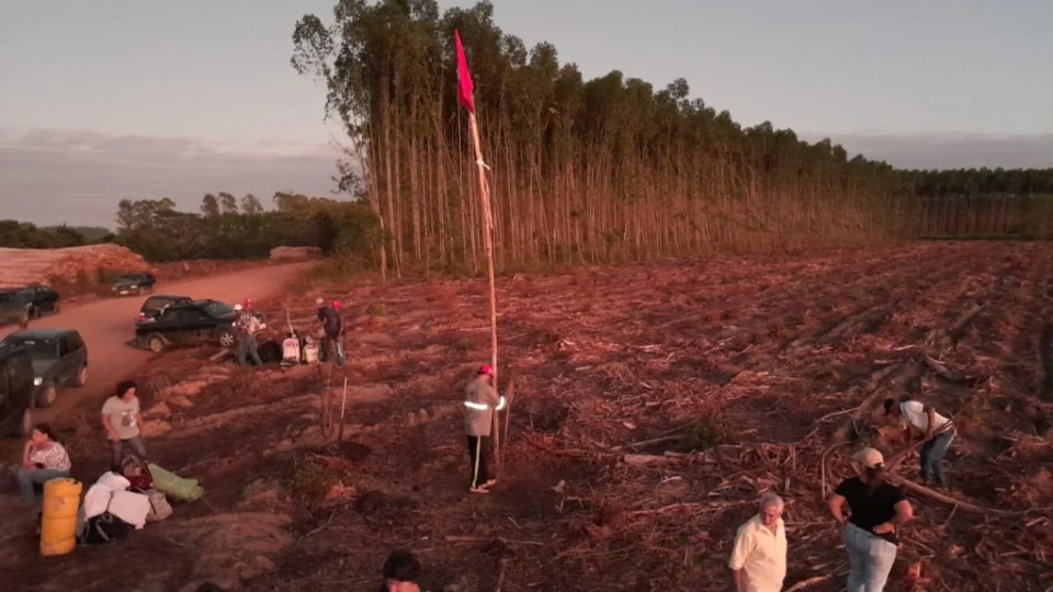 Conflito entre MST e Suzano contará com atuação do ministro Paulo Teixeira