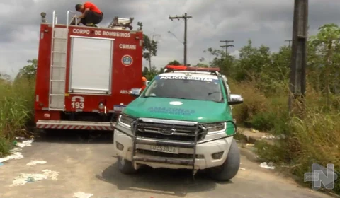 VÍDEO: ossada é encontrada em área de difícil acesso na Zona Norte de Manaus