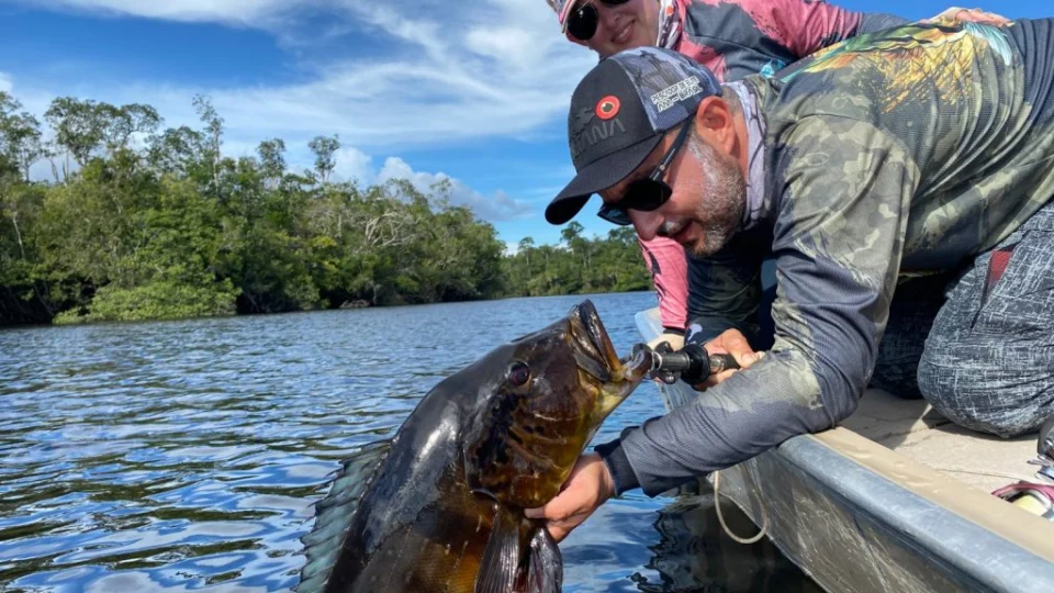 Termo de cooperação para alavancar pesca no AM é discutido em Brasília