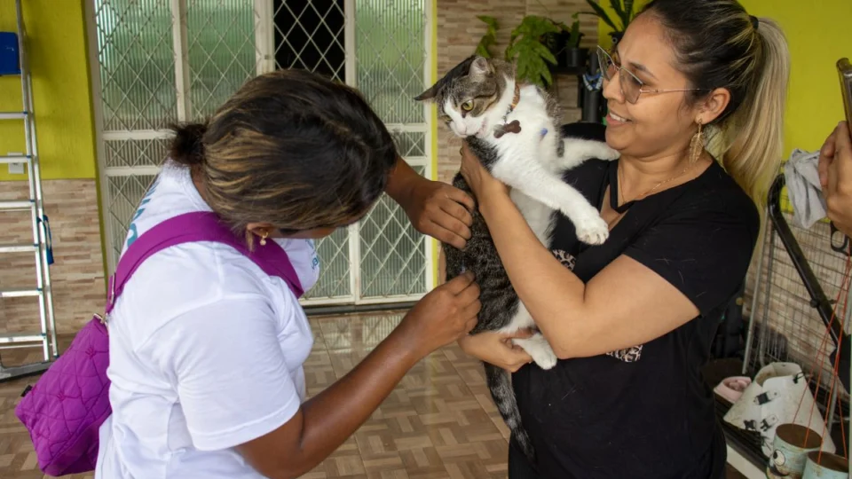 Agendamento para castração de gatos é realizado na Zona Leste de Manaus