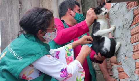 Vacinação antirrábica é realizada aos sábados durante o mês de março, em Manaus