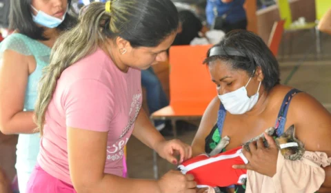 Parintins-AM recebe serviços do ‘castramóvel’ a partir de sexta-feira, 7