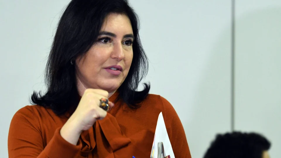 Reforma tributária é a salvação da lavoura para Brasil crescer, diz Tebet