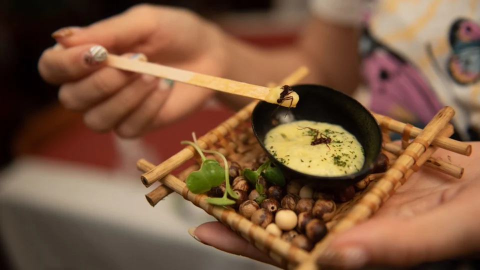 Turismo gastronômico: AM entra na lista dos melhores restaurantes do Brasil