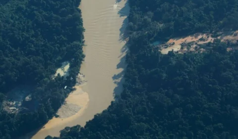 Três homens são presos com ouro e armas em Terra Yanomami, em Roraima