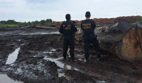 Polícia Federal e Ibama apreendem madeira ilegal no Pará