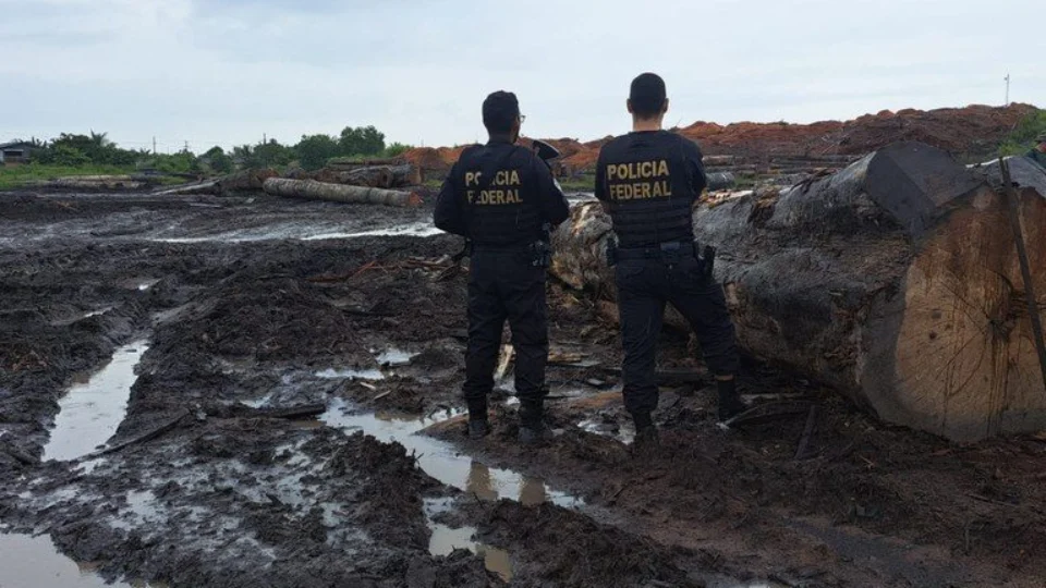 Polícia Federal e Ibama apreendem madeira ilegal no Pará